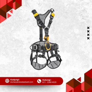 Petzl Astro Harness International C083BB01