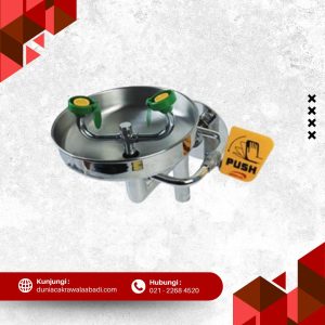 Wall Mounted Leopard 0370